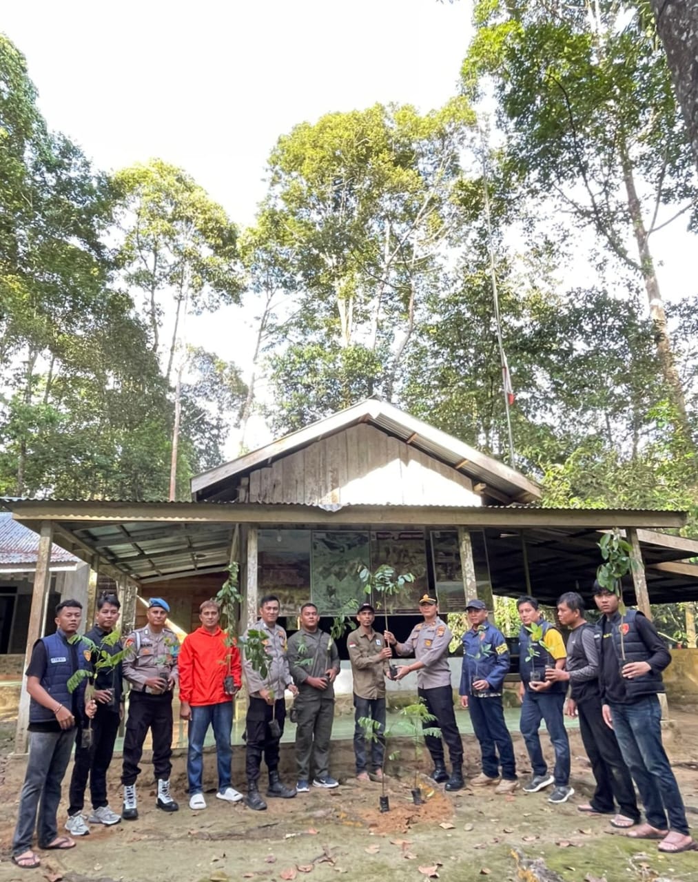 Polsek Singingi Hilir Bersama WWF Lakukan Penanaman Bibit Pohon di Hutan Suaka Margasatwa Rimbang Baling